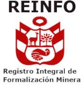 Consultar Reinfo